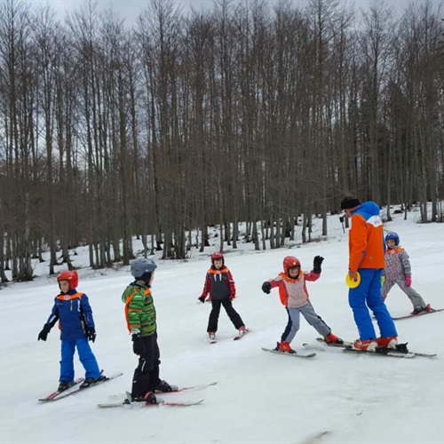 Mi volimo skijanje!