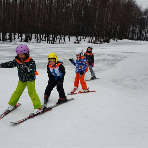 Mi volimo skijanje!